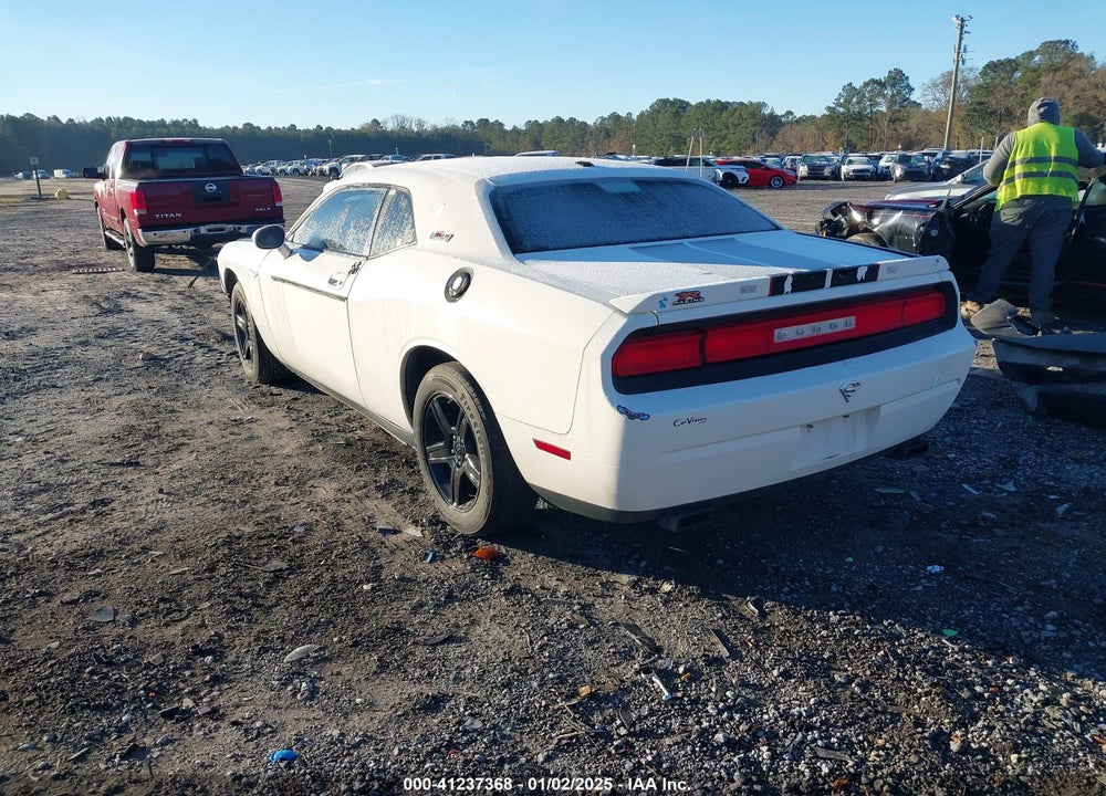 2010 DODGE CHALLENGER SE VIN: 2B3CJ4DV1AH191238