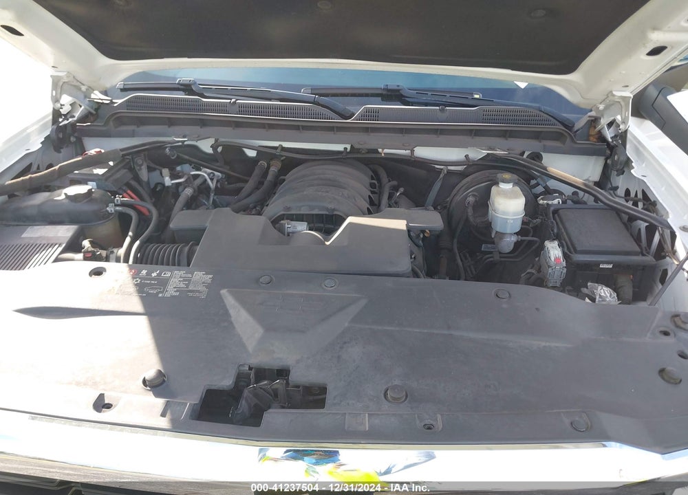 2019 CHEVROLET SILVERADO 1500 LD VIN: 2GCRCPEC9K1142588