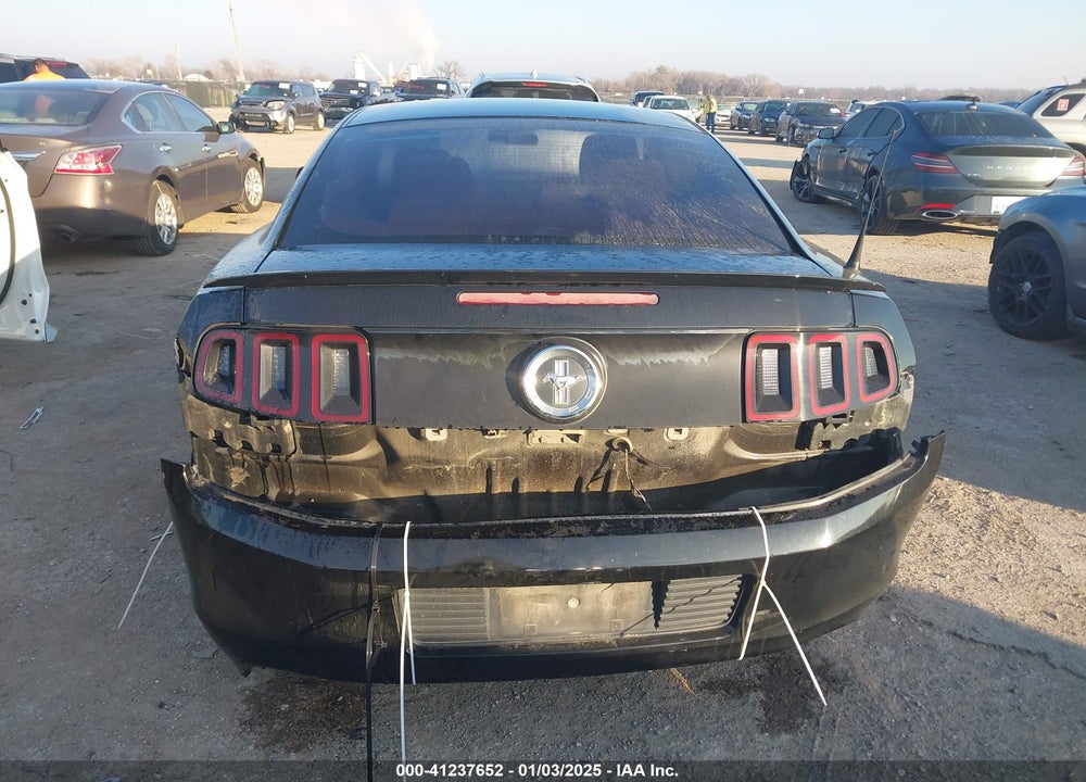 2013 FORD MUSTANG VIN: 1ZVBP8AMXD5236066
