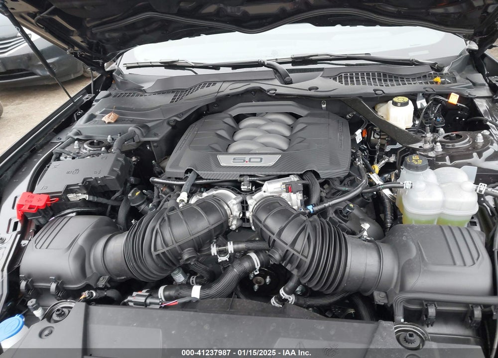 2024 FORD MUSTANG VIN: 1FA6P8CF9R5433309