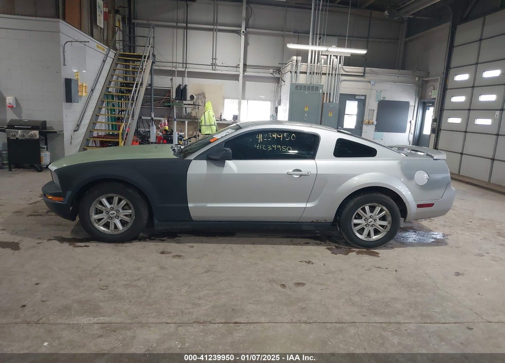 2006 FORD MUSTANG VIN: 1ZVFT80N065191049