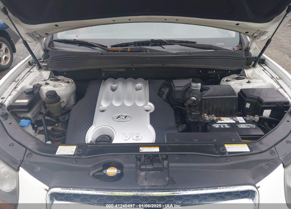 2007 HYUNDAI SANTA FE VIN: 5NMSG13D37H043847