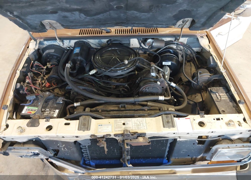 1984 FORD BRONCO II VIN: 1FMCU14S1EUD07577