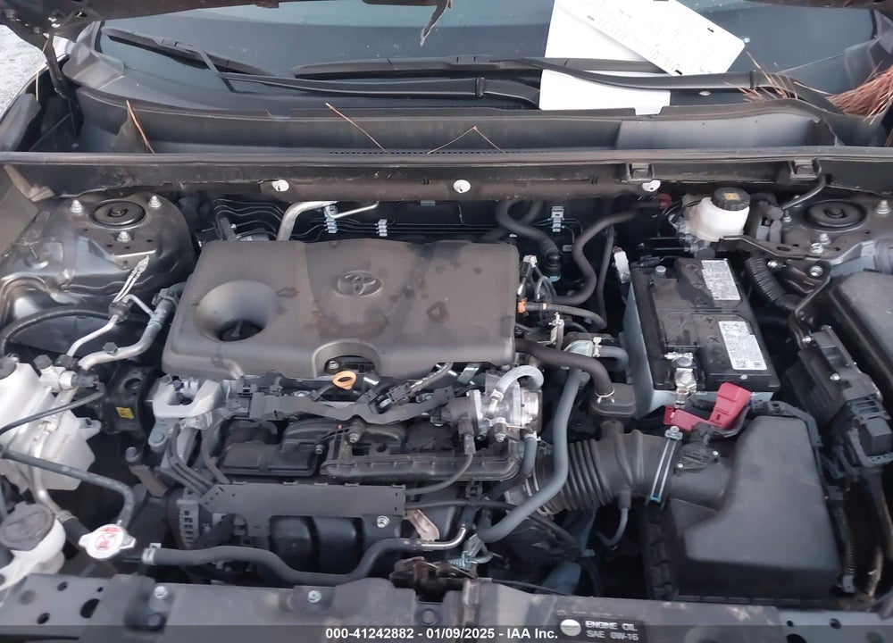 2024 TOYOTA RAV4 XLE VIN: 2T3W1RFV9RW303530