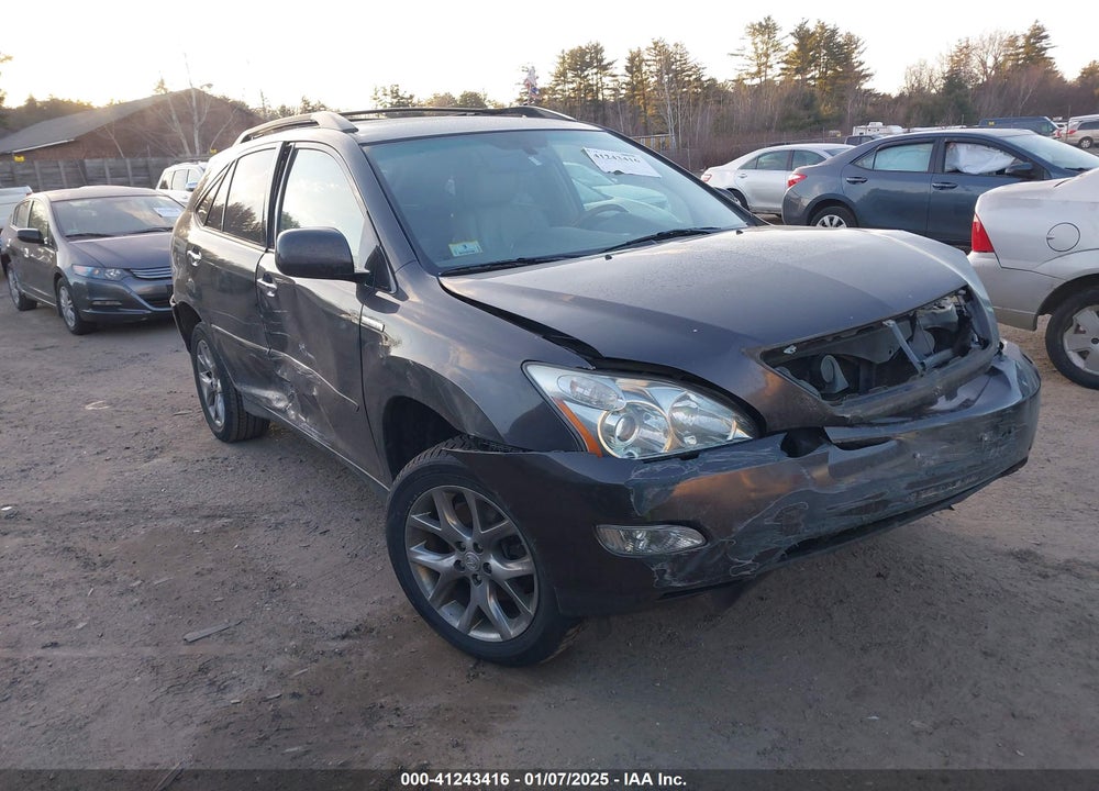 2009 LEXUS RX 350 VIN: 2T2HK31U39C102584