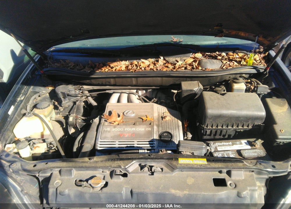1999 LEXUS RX 300 VIN: JT6HF10U7X0038014