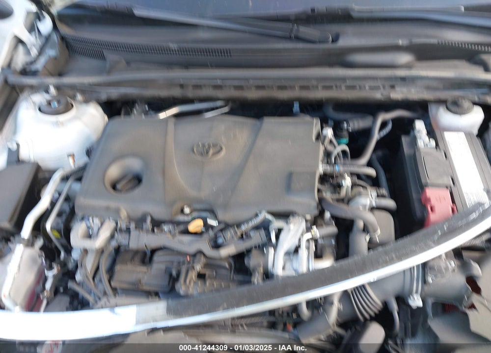 2019 TOYOTA CAMRY VIN: 4T1B11HK3KU719915