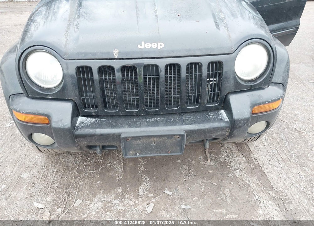 2003 JEEP LIBERTY LIMITED EDITION VIN: 1J8GL58K03W516801