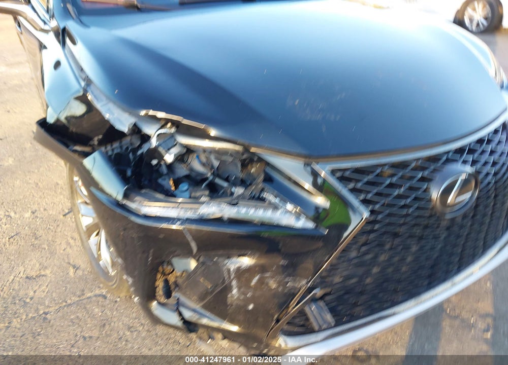 2020 LEXUS NX 300 F-SPORT VIN: JTJJARBZ6L2168779