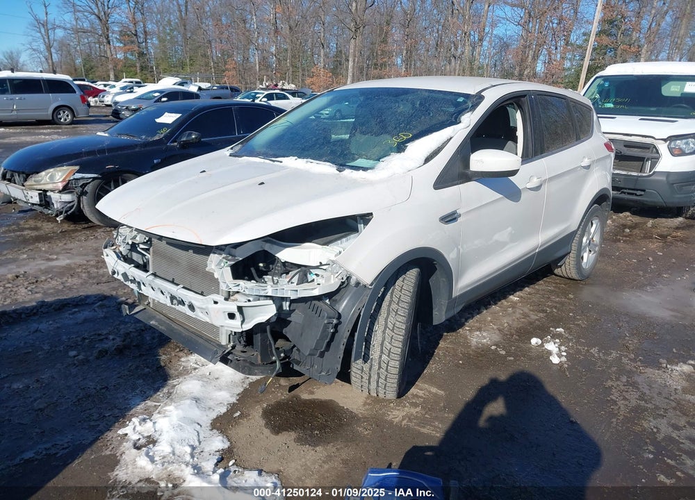 2015 FORD ESCAPE SE VIN: 1FMCU0G79FUB54112