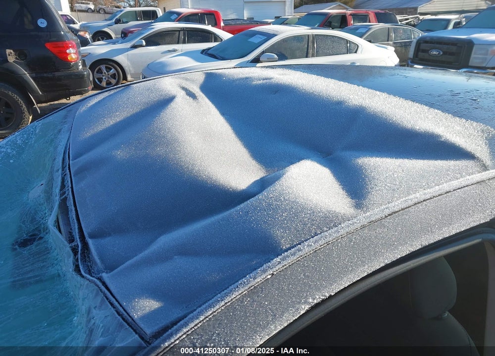 2019 NISSAN ALTIMA VIN: 1N4BL4BV5KN323102
