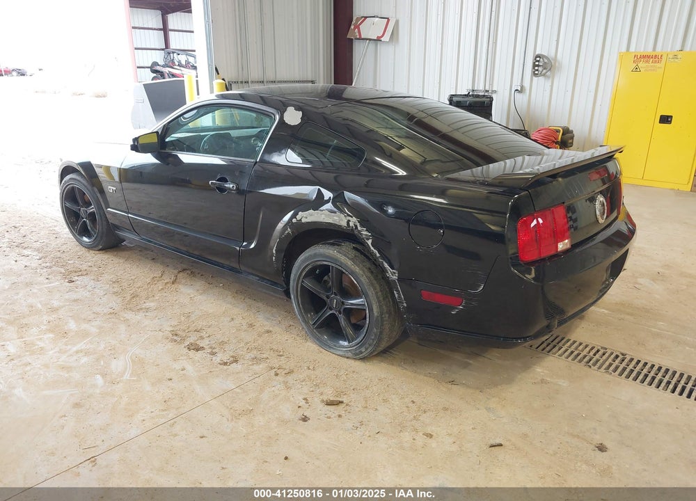 2007 FORD MUSTANG GT DELUXE/GT PREMIUM VIN: 1ZVHT82H375308513