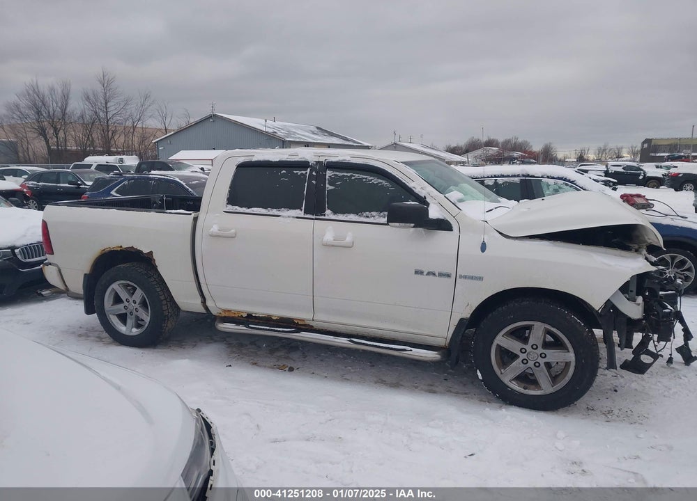 2009 DODGE RAM 1500 VIN: 1D3HB13T09S815512