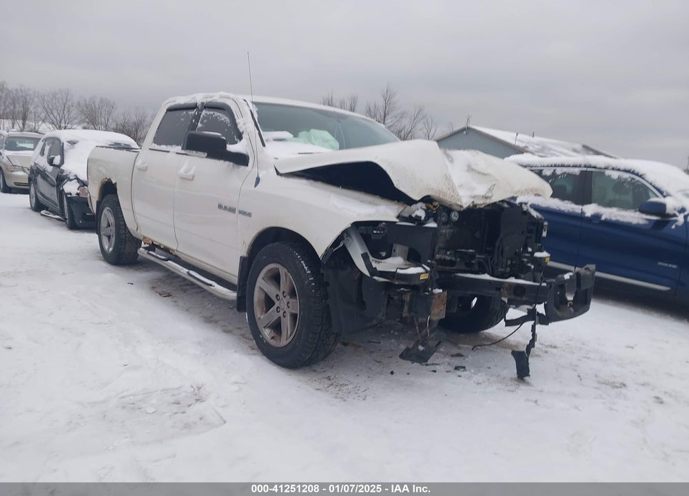 2009 DODGE RAM 1500 VIN: 1D3HB13T09S815512