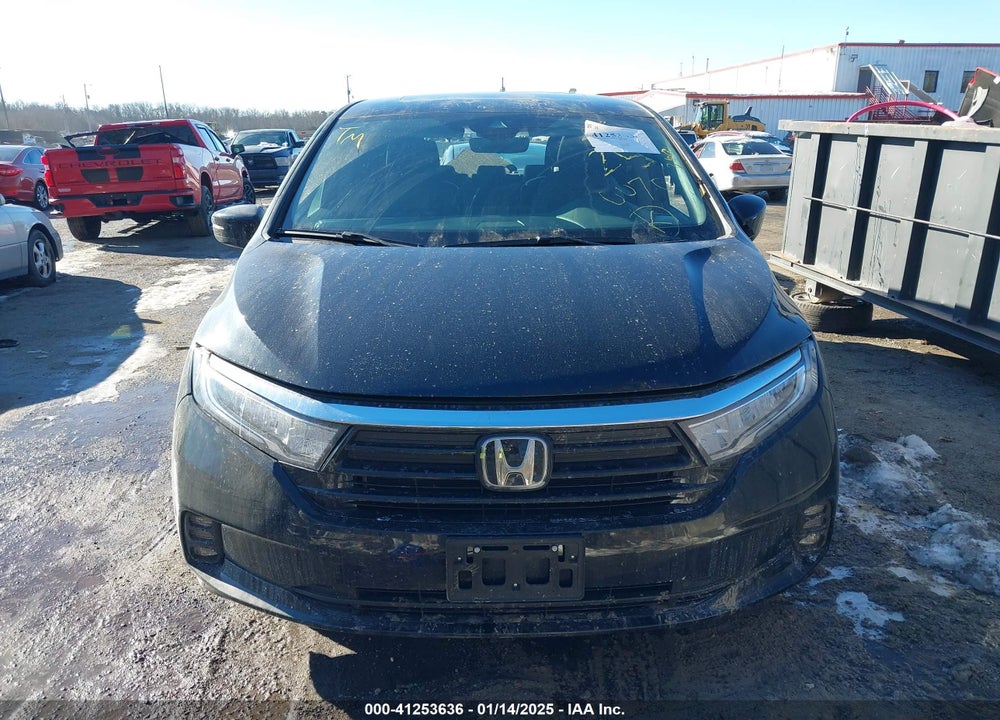 2024 HONDA ODYSSEY EX-L VIN: 5FNRL6H63RB057902