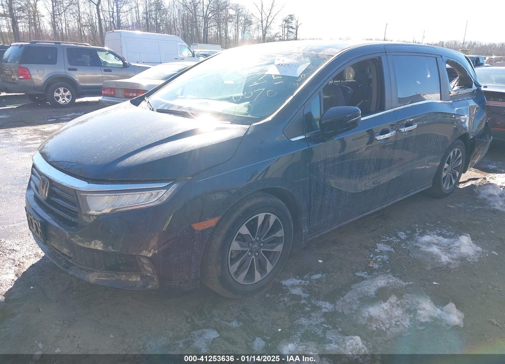2024 HONDA ODYSSEY EX-L VIN: 5FNRL6H63RB057902
