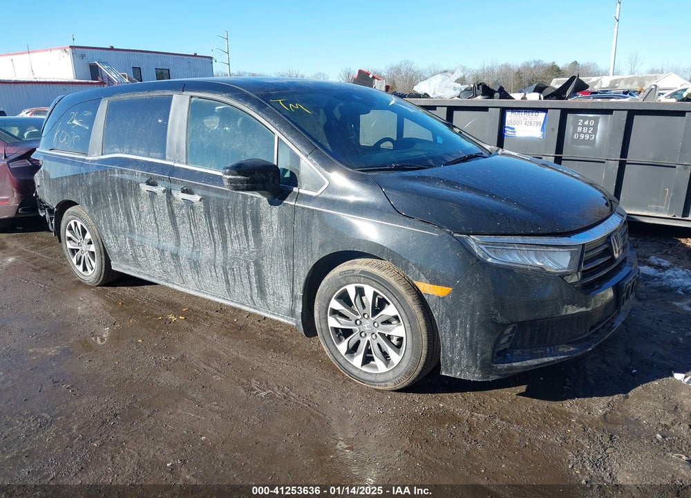 2024 HONDA ODYSSEY EX-L VIN: 5FNRL6H63RB057902