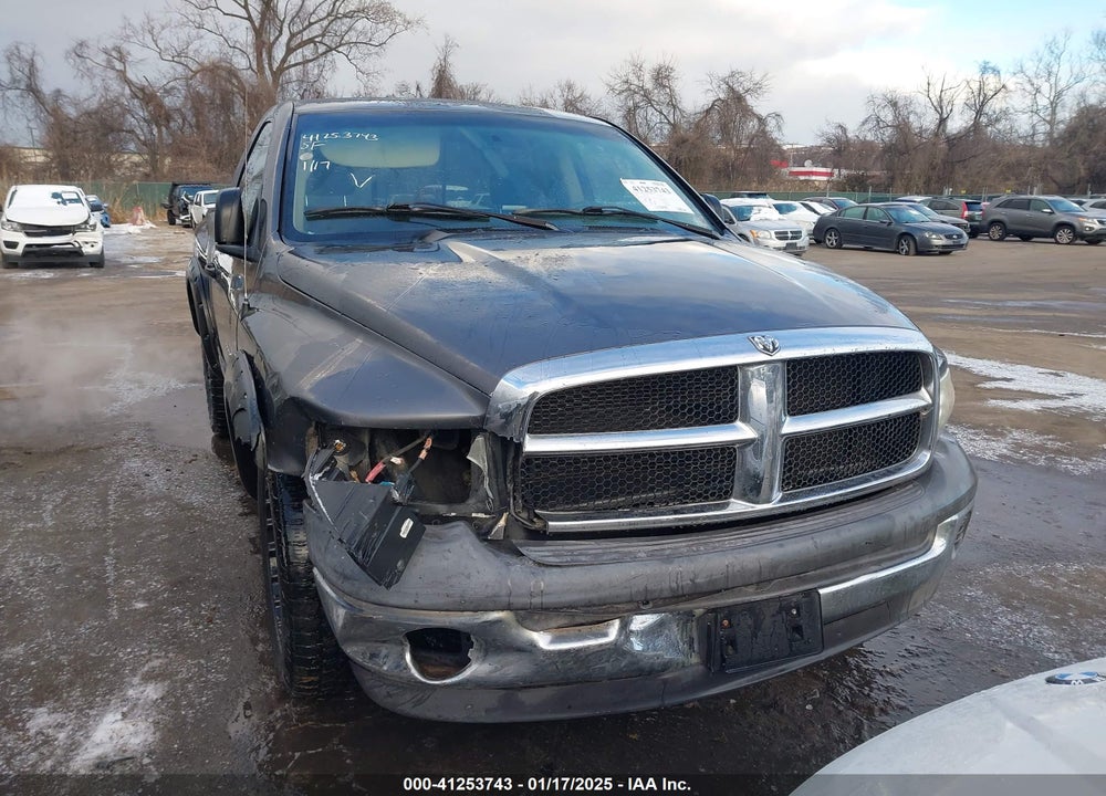 2002 DODGE RAM 1500 ST VIN: 1D7HA16N62J245073