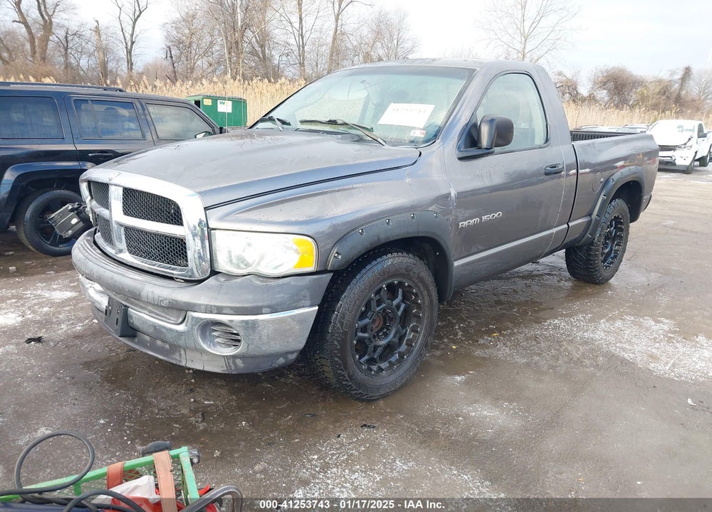 2002 DODGE RAM 1500 ST VIN: 1D7HA16N62J245073