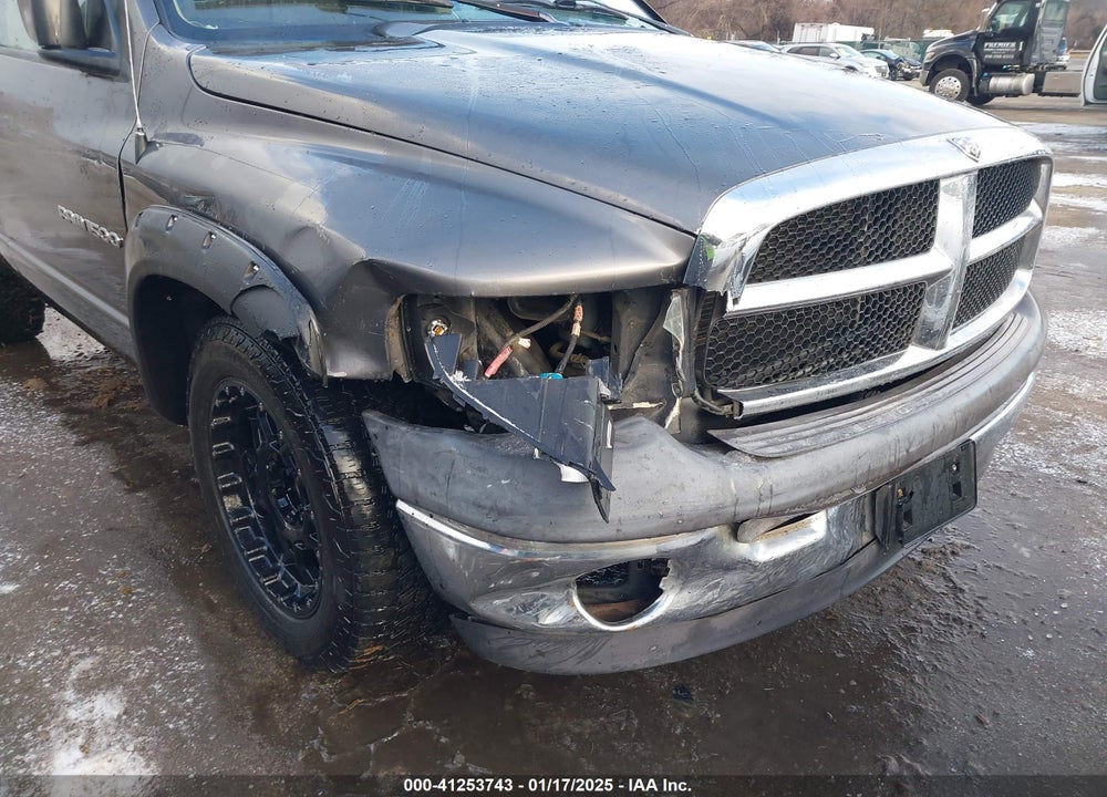 2002 DODGE RAM 1500 ST VIN: 1D7HA16N62J245073