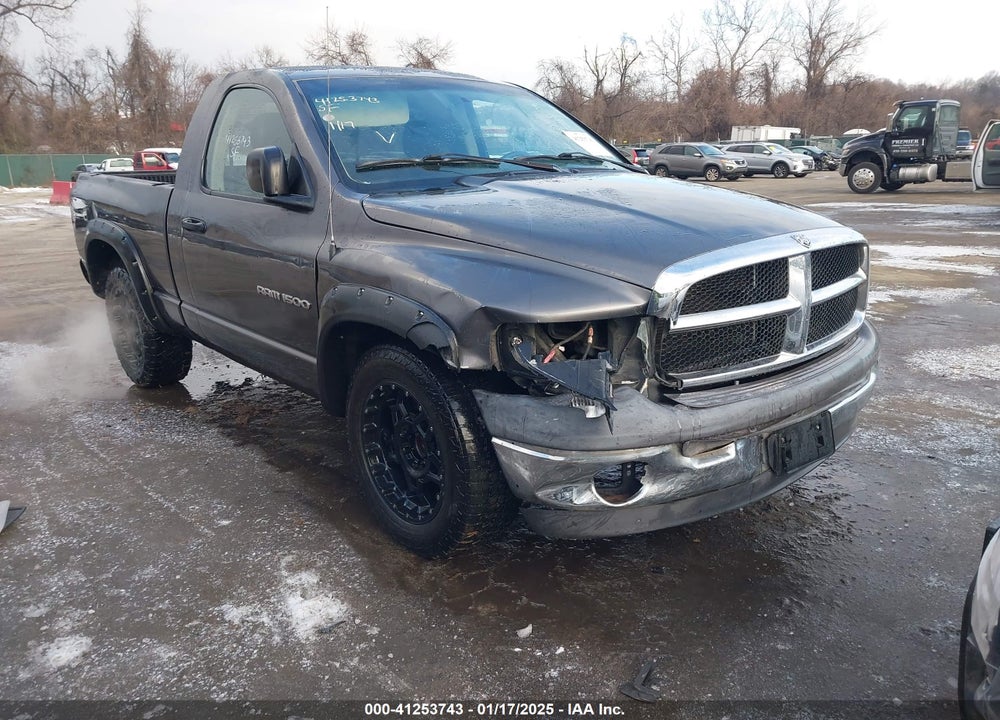 2002 DODGE RAM 1500 ST VIN: 1D7HA16N62J245073