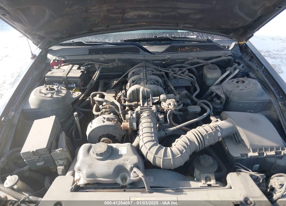 2005 FORD MUSTANG V6 DELUXE/V6 PREMIUM VIN: 1ZVFT80N255114665