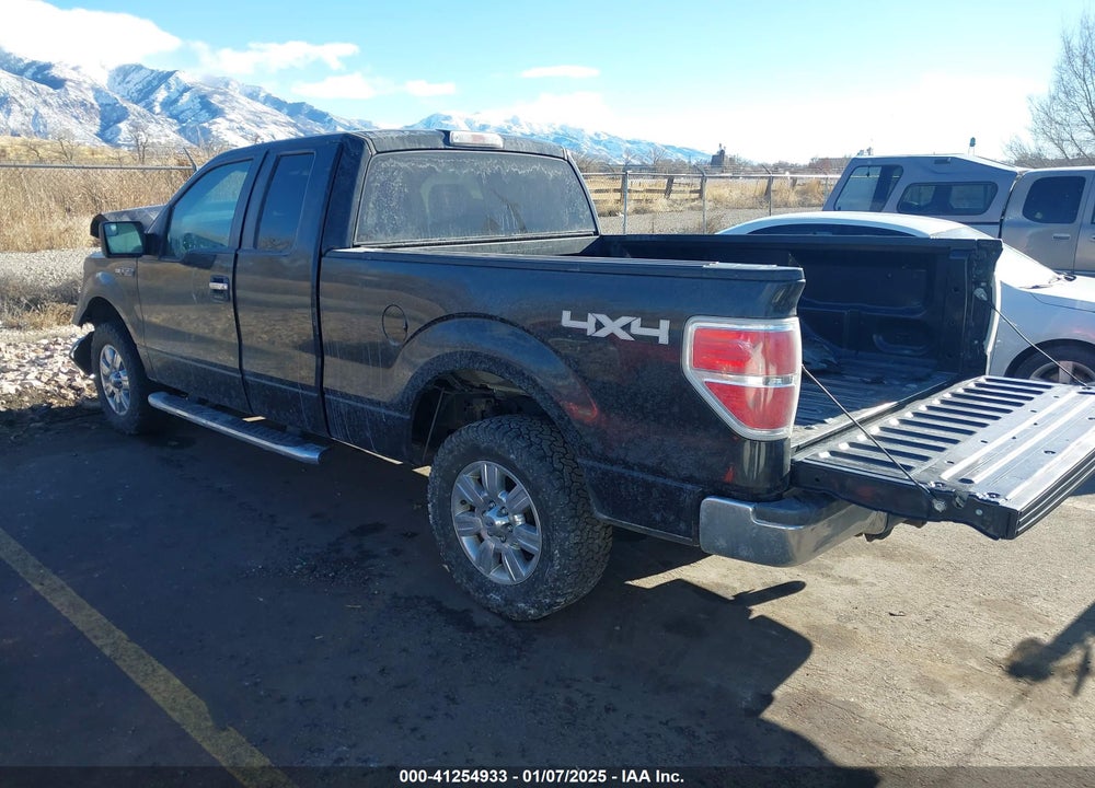2011 FORD F-150 XLT VIN: 1FTFX1EF3BKD48407
