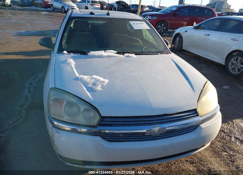 2004 CHEVROLET MALIBU MAXX LT VIN: 1G1ZU64884F175834