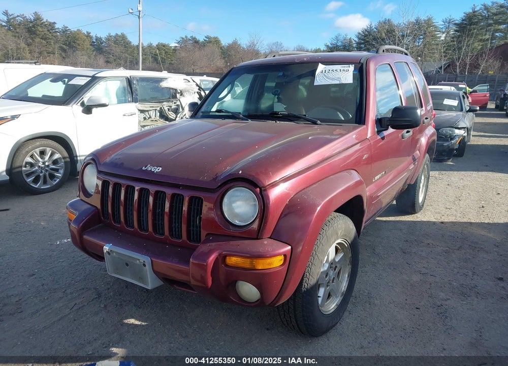 2002 JEEP LIBERTY LIMITED EDITION VIN: 1J4GL58K72W283791