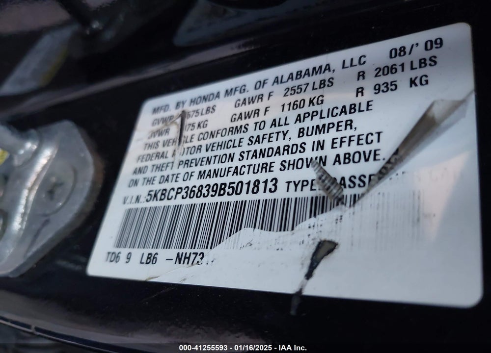 2009 HONDA ACCORD VIN: 5KBCP36839B501813