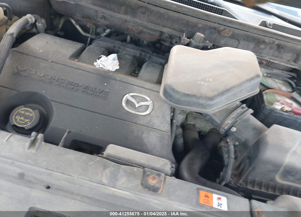 2010 MAZDA CX-9 VIN: JM3TB3MV5A0218622