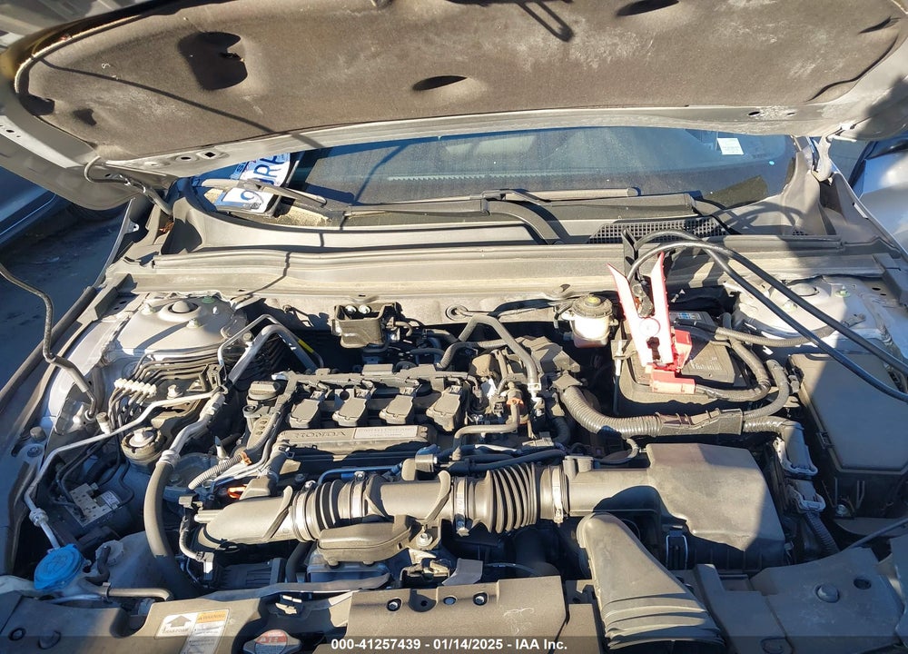 2019 HONDA ACCORD VIN: 1HGCV1F3XKA175523
