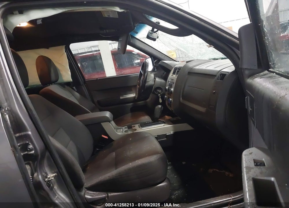 2010 FORD ESCAPE XLT VIN: 1FMCU0DG4AKC35320