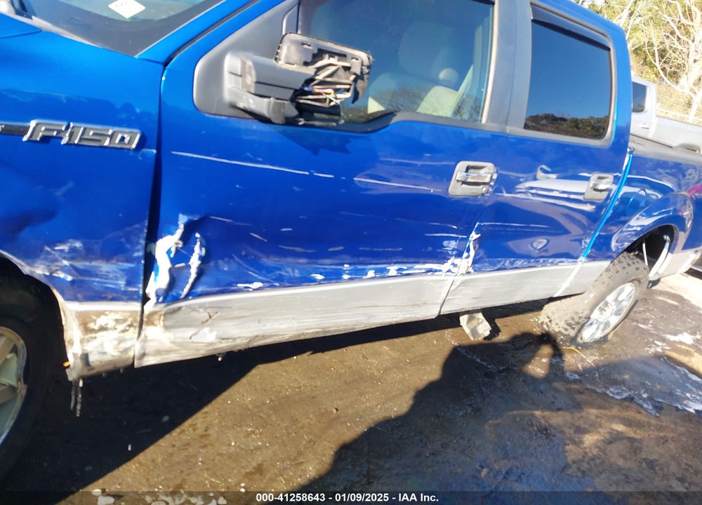 2010 FORD F150 VIN: 1FTEW1E88AFD83452