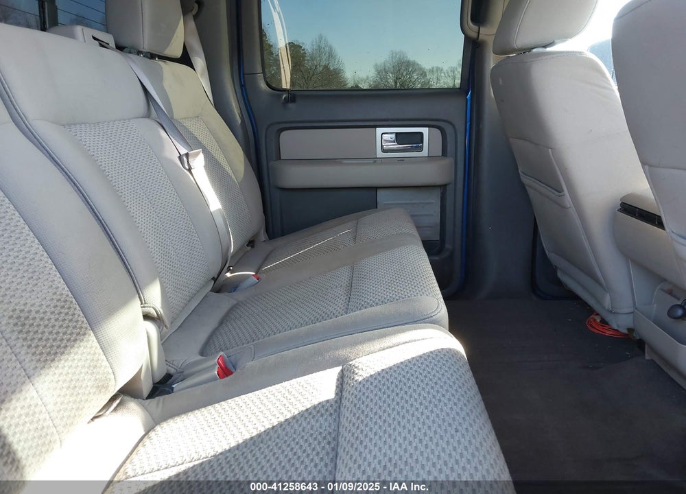 2010 FORD F150 VIN: 1FTEW1E88AFD83452