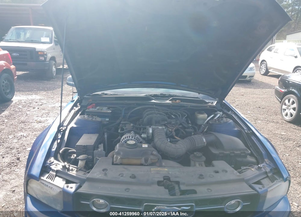 2007 FORD MUSTANG V6 DELUXE/V6 PREMIUM VIN: 1ZVFT80N075362822