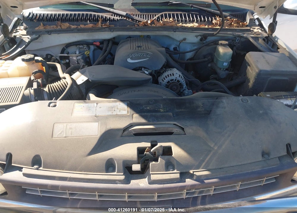 2002 CHEVROLET SILVERADO 1500 LS VIN: 2GCEC19V821140659