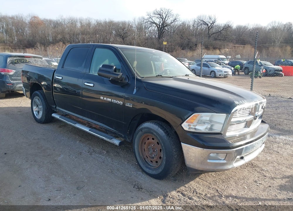 2011 RAM 1500 SLT VIN: 1D7RV1CT3BS534059