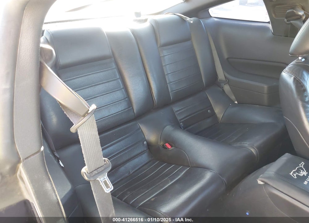 2008 FORD MUSTANG GT DELUXE/GT PREMIUM VIN: 1ZVHT82H985148901