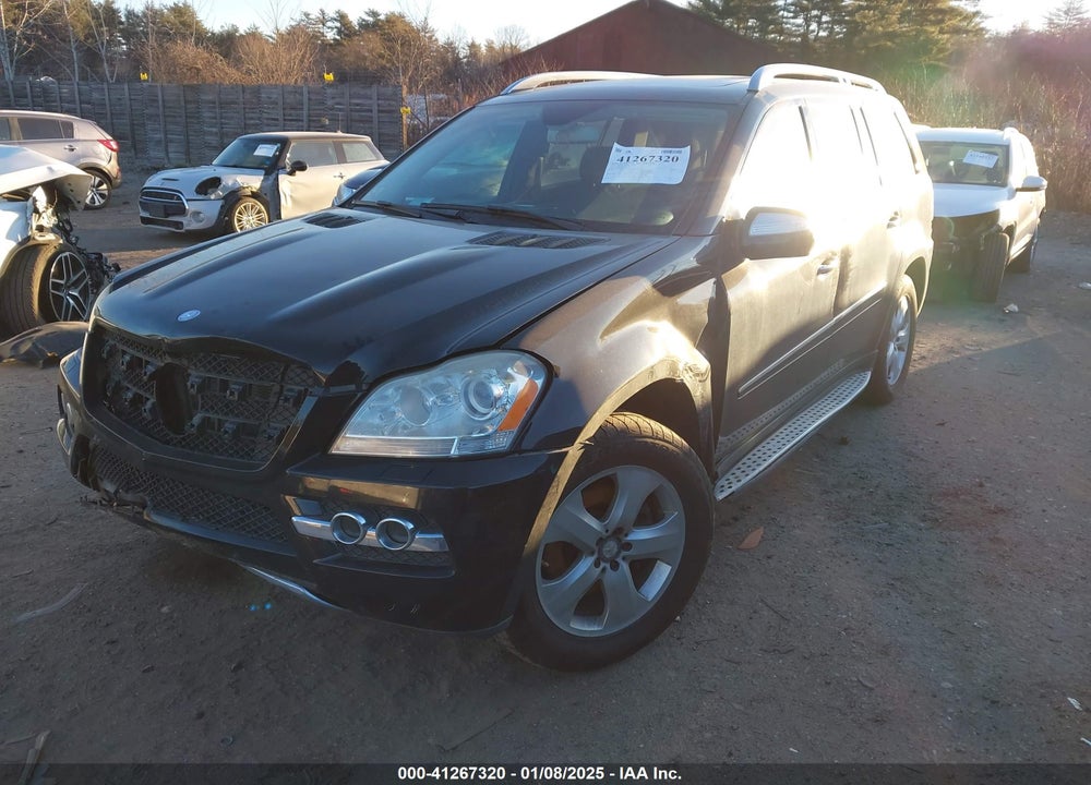 2010 MERCEDES-BENZ GL 450 4MATIC VIN: 4JGBF7BE2AA611874