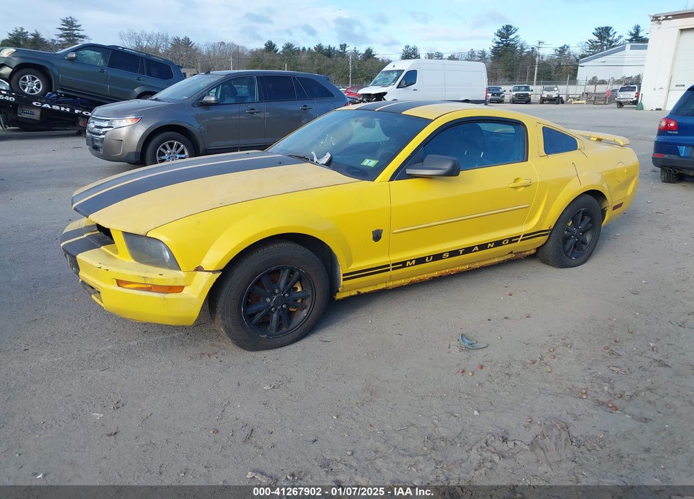 2006 FORD MUSTANG VIN: 1ZVFT80N965199215