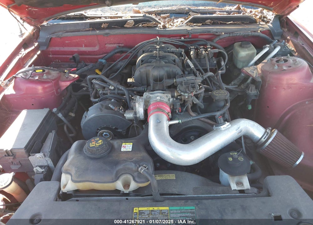 2005 FORD MUSTANG V6 DELUXE/V6 PREMIUM VIN: 1ZVFT80N855130000