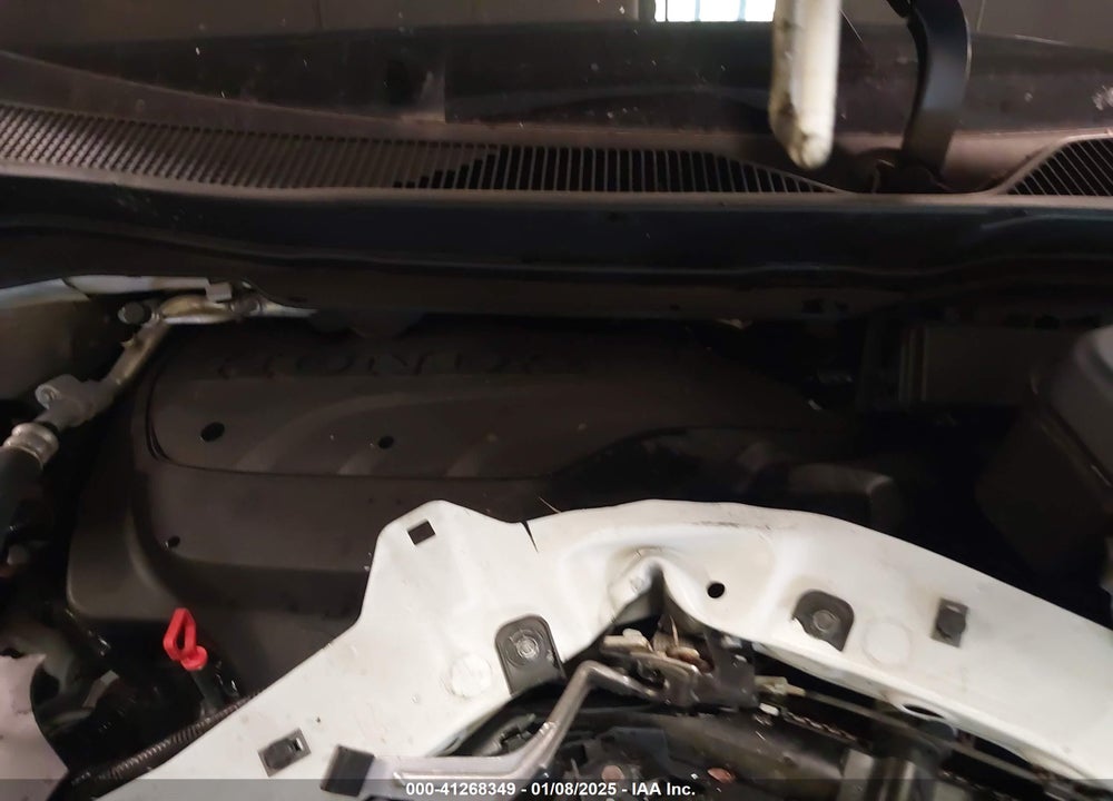2024 HONDA PASSPORT TRAILSPORT VIN: 5FNYF8H62RB011007