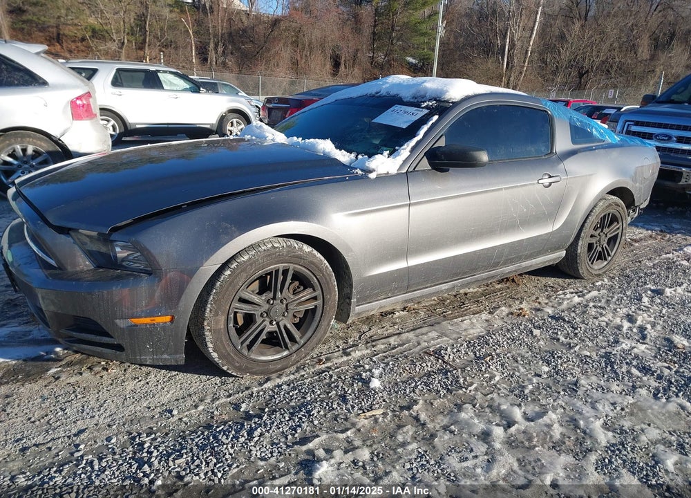 2014 FORD MUSTANG VIN: 1ZVBP8AM3E5231034
