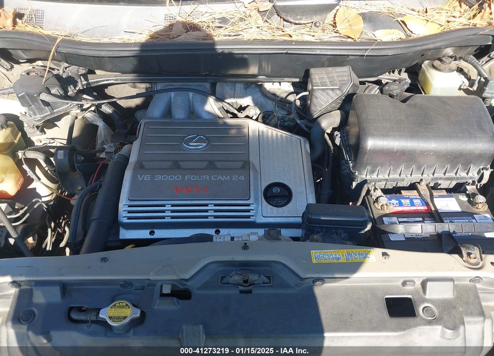 2000 LEXUS RX 300 VIN: JT6GF10U4Y0080119
