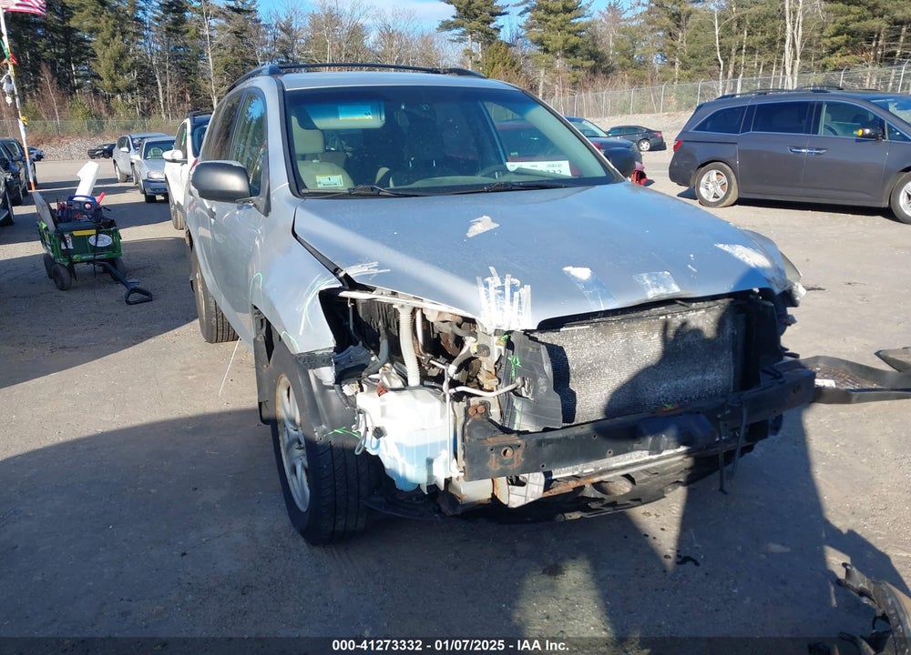 2010 TOYOTA RAV4 VIN: JTMBF4DV4AD030827