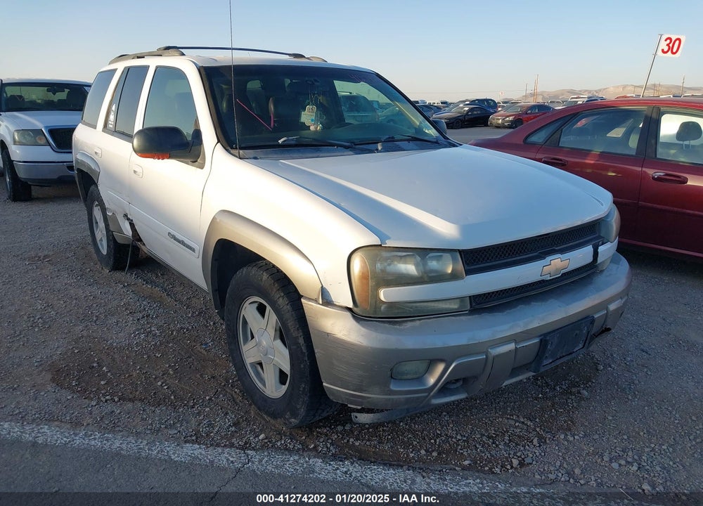 2002 CHEVROLET TRAILBLAZER LTZ VIN: 1GNDT13S422481865