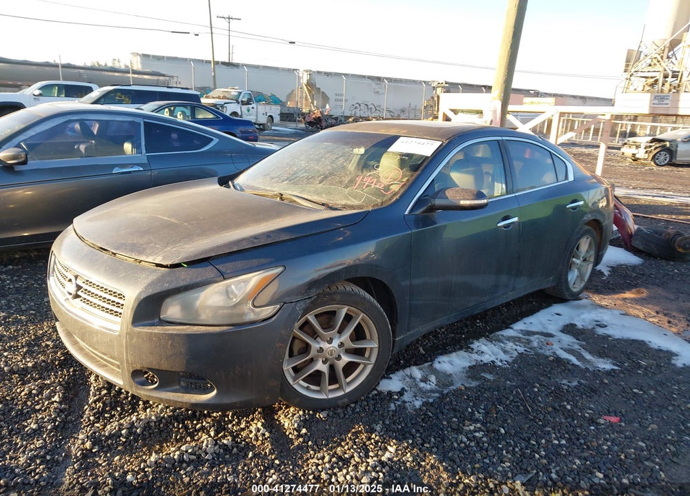 2010 NISSAN MAXIMA VIN: 1N4AA5AP7AC842737