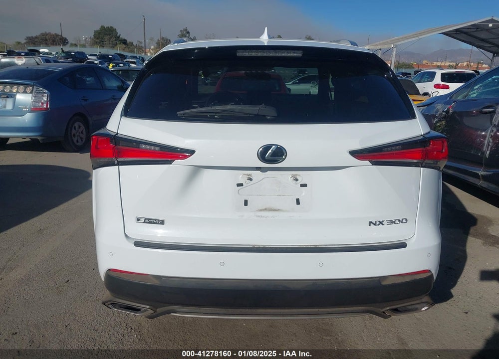 2019 LEXUS NX 300 F-SPORT VIN: JTJYARBZ4K2145174