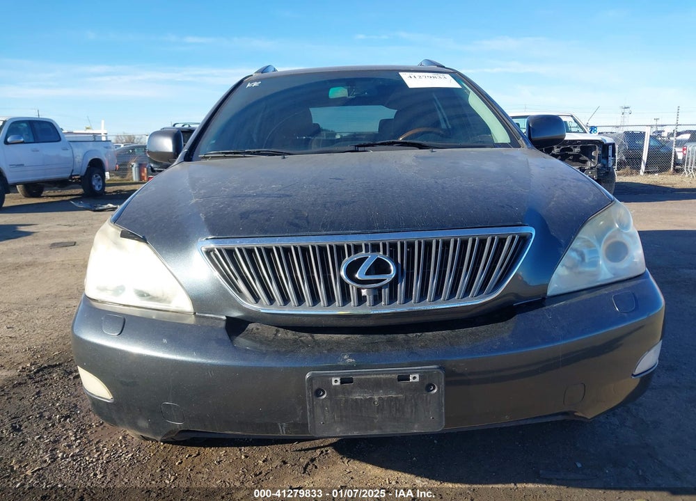 2007 LEXUS RX 350 VIN: JTJGK31U970008746
